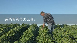 蔬菜用英语怎么说？