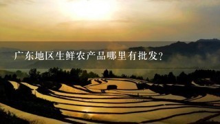 广东地区生鲜农产品哪里有批发？