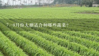 718月份大棚适合种哪些蔬菜？