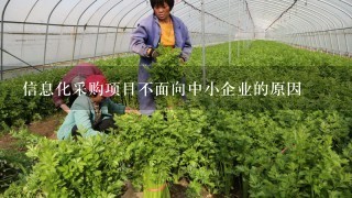 信息化采购项目不面向中小企业的原因