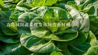 青岛城阳蔬菜批发市场营业时间