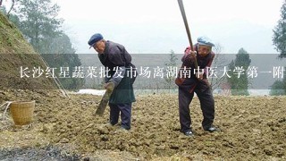 长沙红星蔬菜批发市场离湖南中医大学第1附属医院多少公里