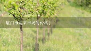 厦门市蔬菜市场的价格？