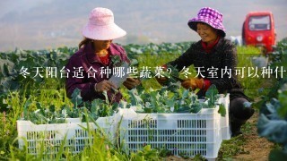 冬天阳台适合种哪些蔬菜？冬天室内可以种什么蔬菜？