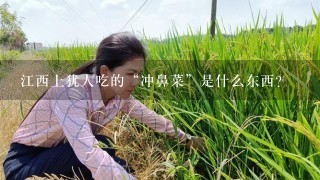 江西上犹人吃的“冲鼻菜”是什么东西？