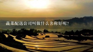 蔬菜配送公司叫做什么名称好呢？