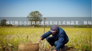 维尼熊小小猪跳跳虎到菜园去采摘蔬菜，熊每2天去1次，猪每3天去1次虎每4天去1次