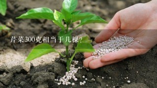 芹菜300克相当于几棵？