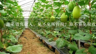 蔬菜销售收入，免不免所得税？算不算免税收入