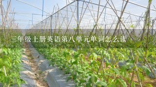 3年级上册英语第8单元单词怎么读