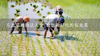 东北菜谱做法大全 教您做好吃的东北菜