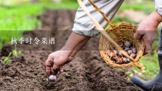 秋季时令菜谱