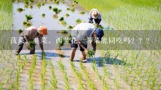 菠菜，韭菜，西兰花，荠菜能同吃吗？？？