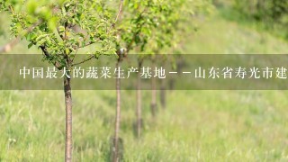 中国最大的蔬菜生产基地－－山东省寿光市建立恒温库储存蔬菜，为反季节销售提供了条件，也为菜农增收提供了保障...