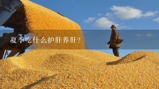 夏季吃什么护肝养肝?