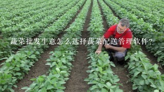 蔬菜批发生意怎么选择蔬菜配送管理软件？