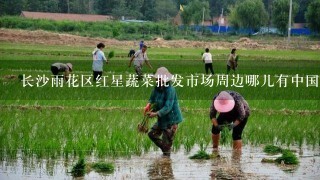 长沙雨花区红星蔬菜批发市场周边哪儿有中国人民银行？