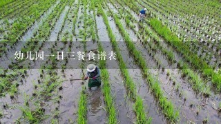 幼儿园1日3餐食谱表