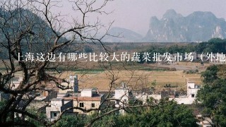 上海这边有哪些比较大的蔬菜批发市场（外地蔬菜批发）？