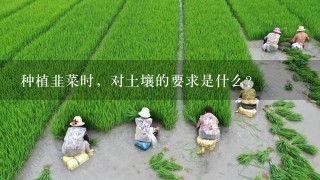 种植韭菜时，对土壤的要求是什么？