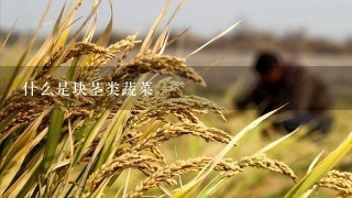 什么是块茎类蔬菜