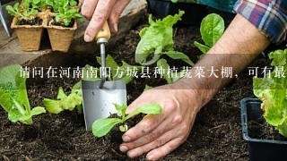 请问在河南南阳方城县种植蔬菜大棚，可有最近的专业搭建大棚技术公司? 方城附近是否有大棚成功者?急求!