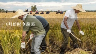 6月份时令蔬菜