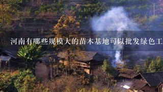 河南有哪些规模大的苗木基地可以批发绿色工程用的树苗？