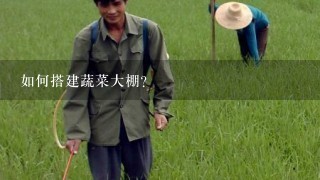 如何搭建蔬菜大棚？