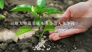 1亩地大棚蔬菜成本多少收入多少钱