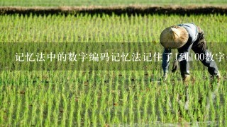 记忆法中的数字编码记忆法记住了1到100数字代码对提高记忆力到底有没有作用呢？