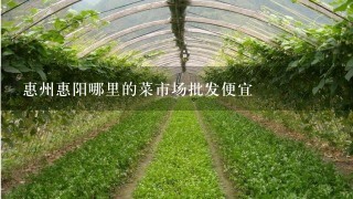 惠州惠阳哪里的菜市场批发便宜