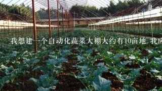 我想建1个自动化蔬菜大棚大约有10亩地 我应该建几个 每个的成本是多少