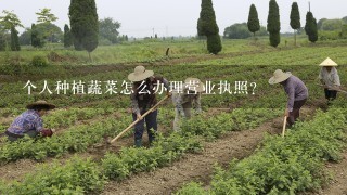 个人种植蔬菜怎么办理营业执照？