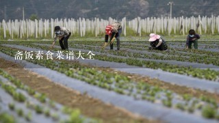 斋饭素食菜谱大全