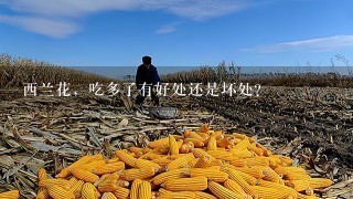 西兰花，吃多了有好处还是坏处？