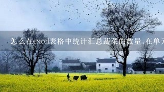 怎么在excel表格中统计汇总蔬菜的数量,在单元格中显