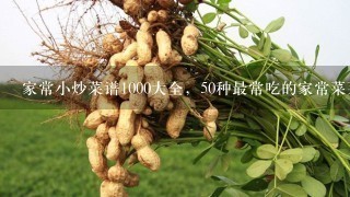 家常小炒菜谱1000大全，50种最常吃的家常菜菜名？