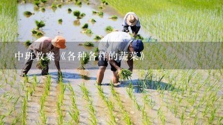 中班教案《各种各样的蔬菜》