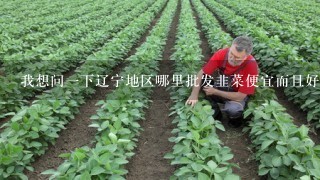 我想问1下辽宁地区哪里批发韭菜便宜而且好？想过年上点韭菜卖但是没有进货渠道！急急急！