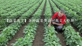 【蔬菜英文】各种蔬菜类食材英文大整理！