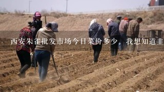 西安朱雀批发市场今日菜价多少。我想知道韭菜，菠菜，西红柿，鸡蛋的价格。