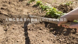 大棚瓜果蔬菜育苗项目可行性研究报告