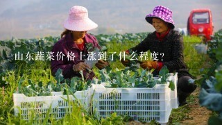 山东蔬菜价格上涨到了什么程度？