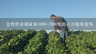 急性肾衰竭尿量1000-2000肌酐6百能恢复吗