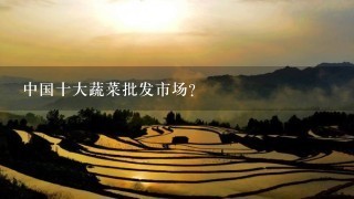 中国十大蔬菜批发市场？