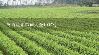 英语蔬菜单词大全100个？