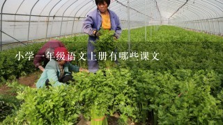 小学1年级语文上册有哪些课文