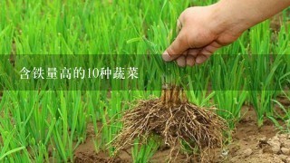 含铁量高的10种蔬菜