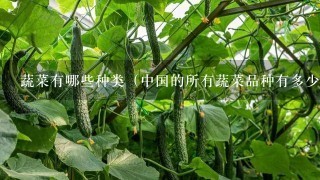 蔬菜有哪些种类（中国的所有蔬菜品种有多少种）